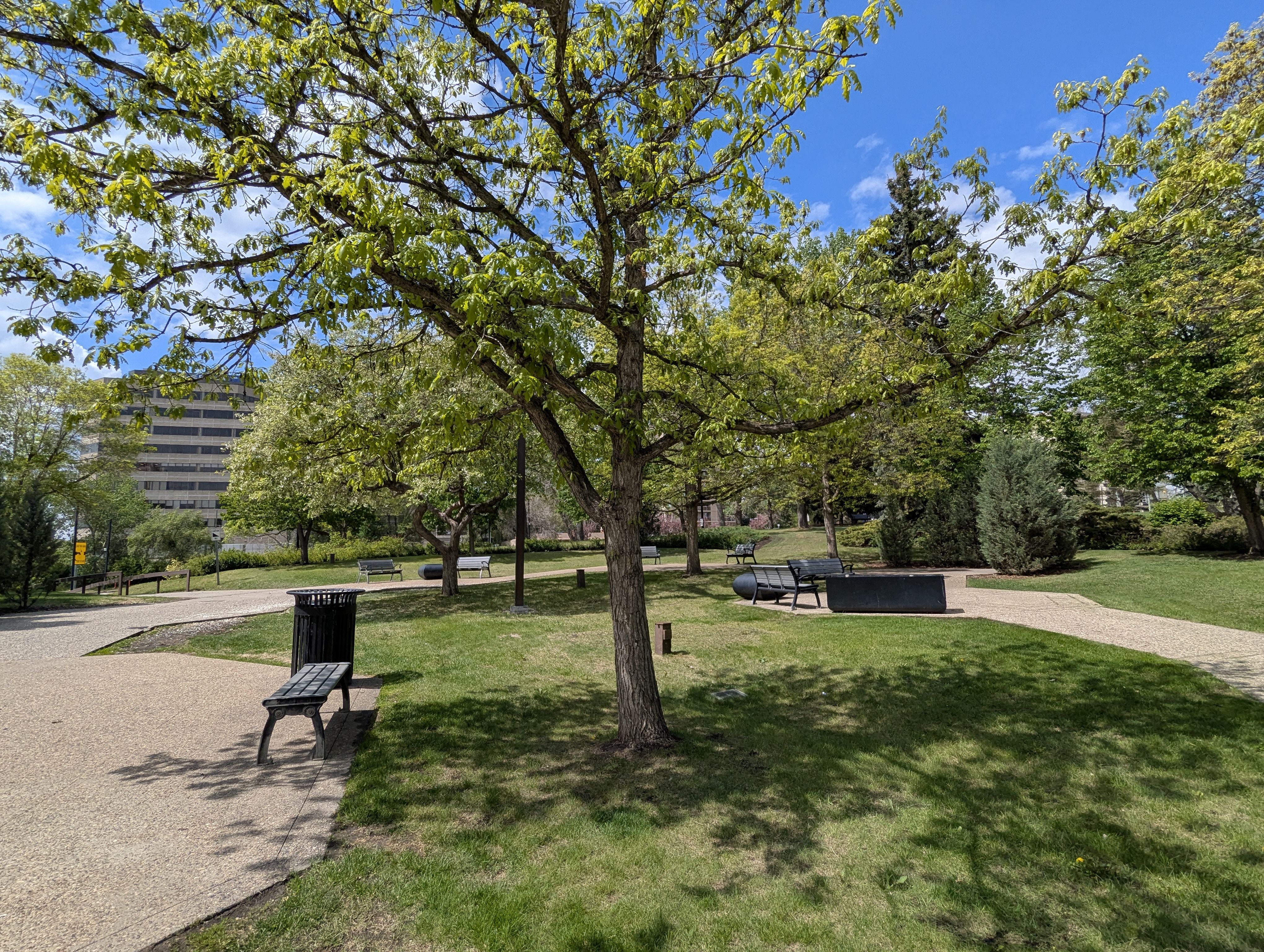 Birthday Trip to Canada, Edmonton